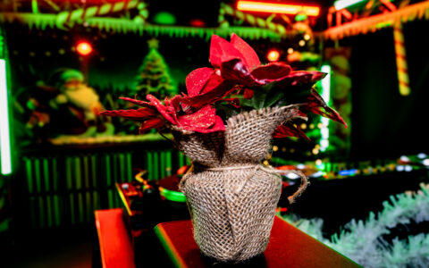 Studio_2025_Weihnachten-06